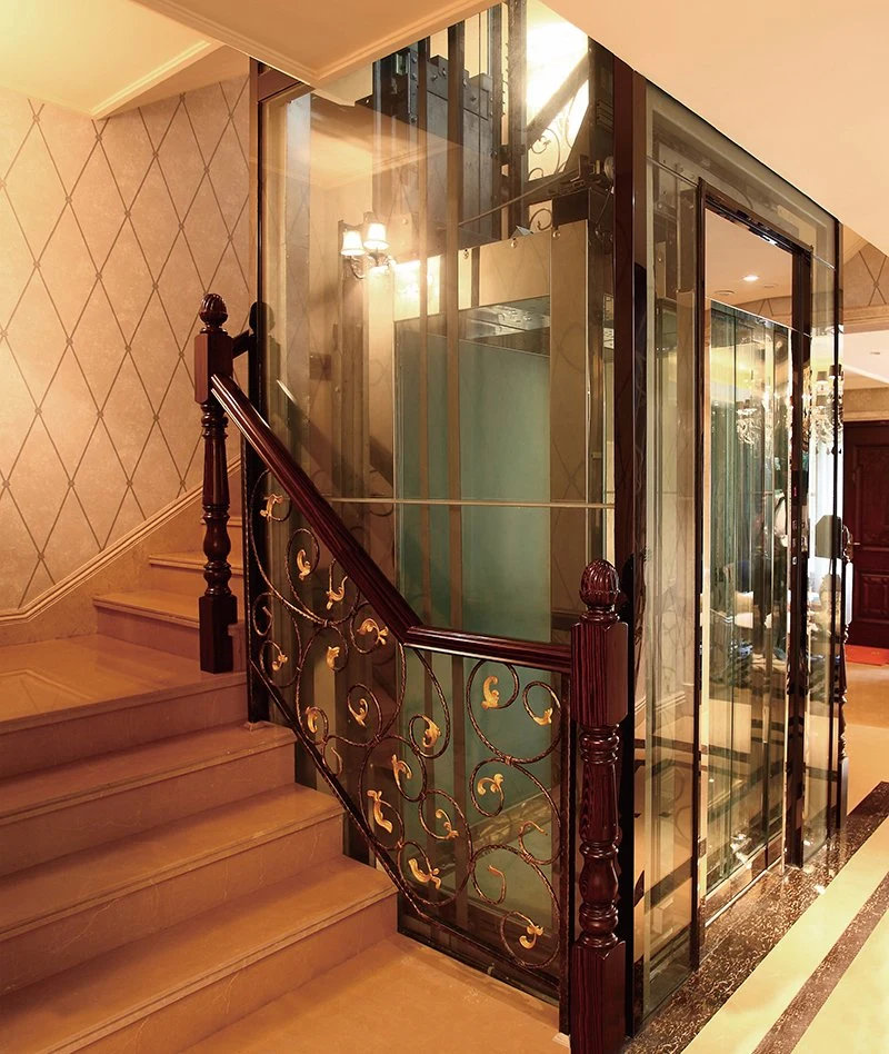 Luxury Lifts Villa Elevator Residential Cheap Passenger Home Elevator Lift