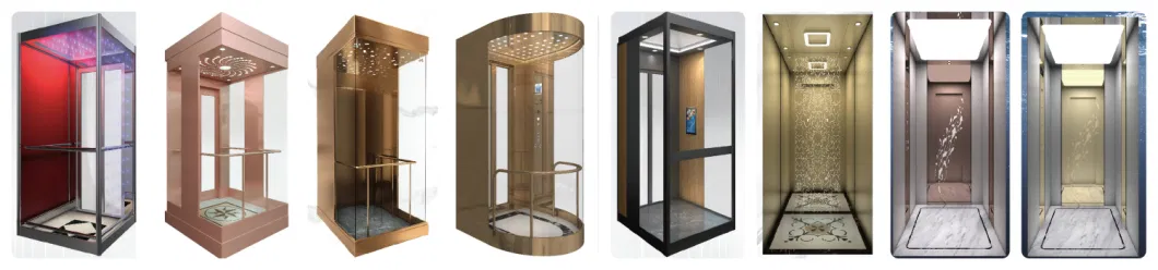 Desenk Home Elevator Passenger Elevator with Machine Roomless