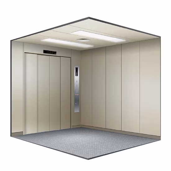 Load 1000kg Small Machine Room Bed Elevator