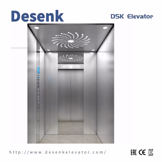 Desenk Home Elevator Passenger Elevator with Machine Roomless