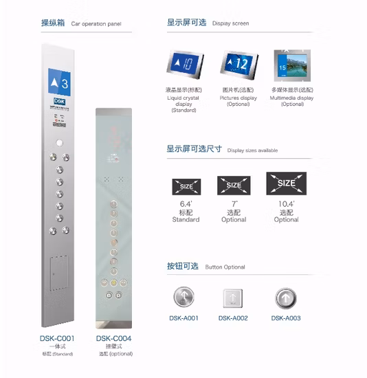 Desenk Home Elevator Passenger Elevator with Machine Roomless