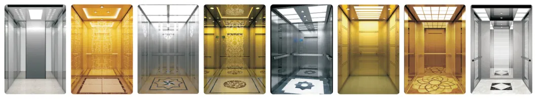 Desenk Small Machine Room Residential Passenger Lift Villa Elevator with Low Elevator Price