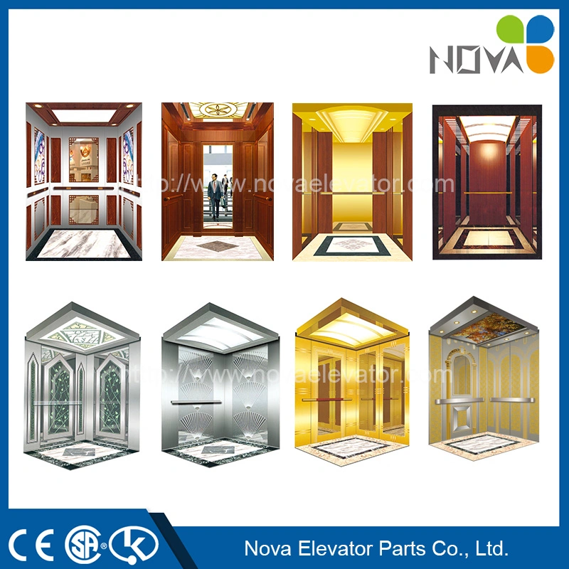 Small Machine Room Passenger Elevator Lift Price Lifts Elevator Use in Home