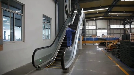 Outdoor Commercial Public Handrail Electric Escalator with Fast Delivery