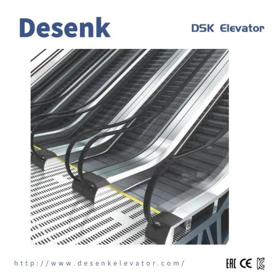 Desenk Safe Home Passenger Indoor Escalator For Shopping Mall VVVF Escalator Price