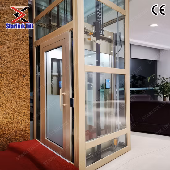 Machine Roomless Building Passenger Elevator with CE