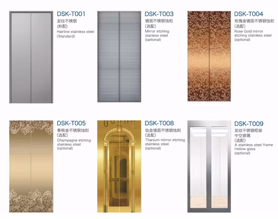 Desenk Home Elevator Passenger Elevator with Machine Roomless