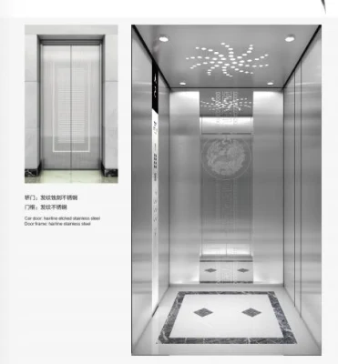 Factory Price Hairline Passenger Elevator with Machine Room