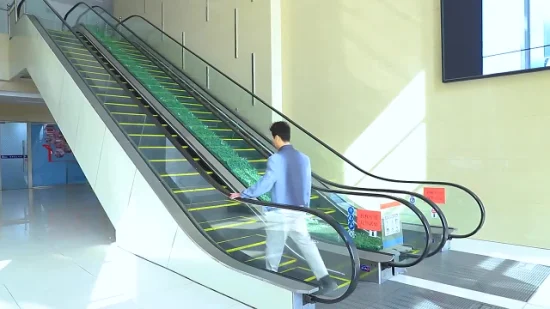China Escalator Suppliers Escalators Elevator Lift Professional Escalators Manufacturer