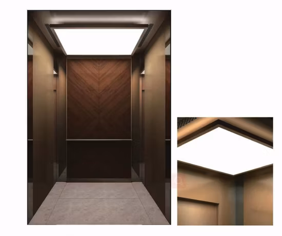 Machine Roomless Passenger Elevators / Lifts with Comfortable Space