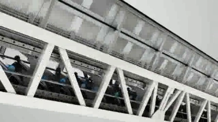 Top 10 China Factory Manufactured Escalator