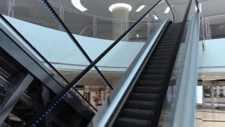 DSK Outdoor Escalator Factory Sidewalk Electric Escalator For Shopping Mall Conveyor